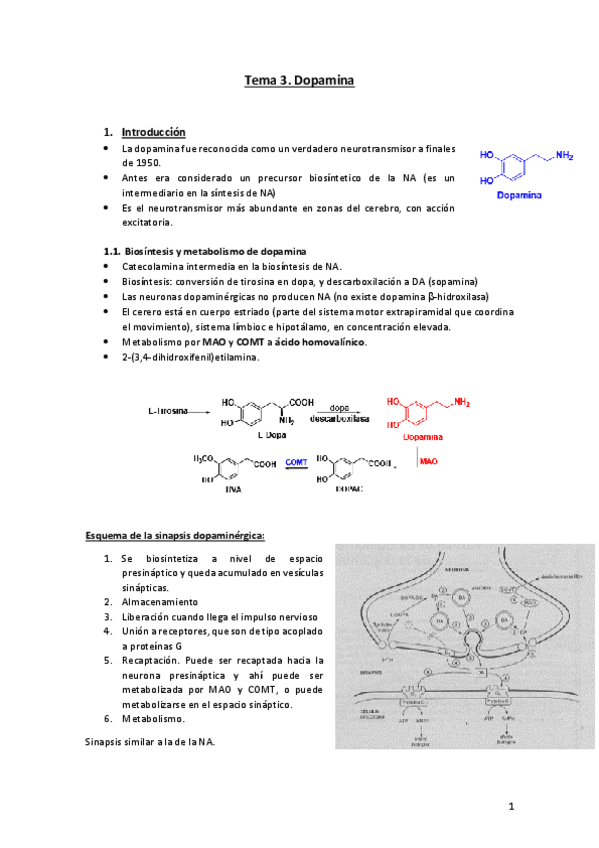 Miniatura del documento Tema 3. Dopamina.pdf