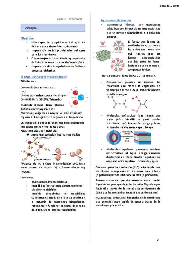 Miniatura del documento 1.2.pdf