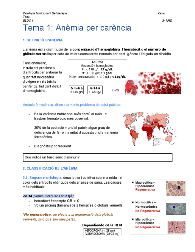 Miniatura del documento Tema-4.1-Anemia-per-carencia.pdf
