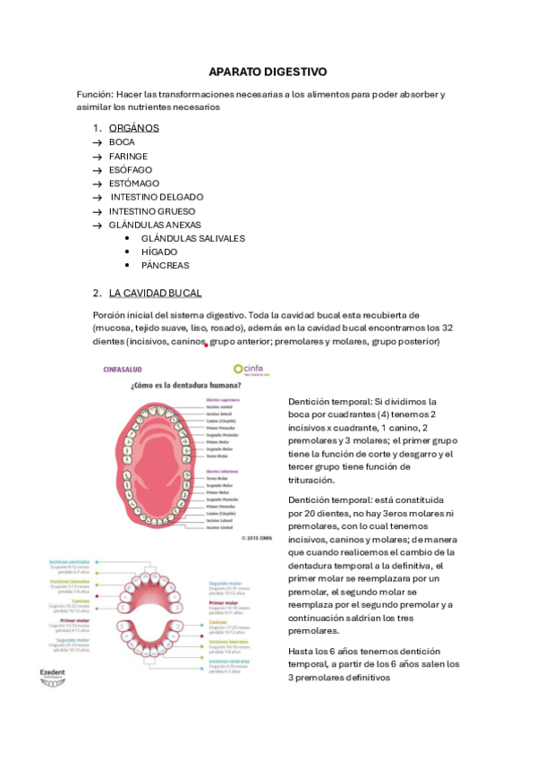 Miniatura del documento APARATO-DIGESTIVO.pdf