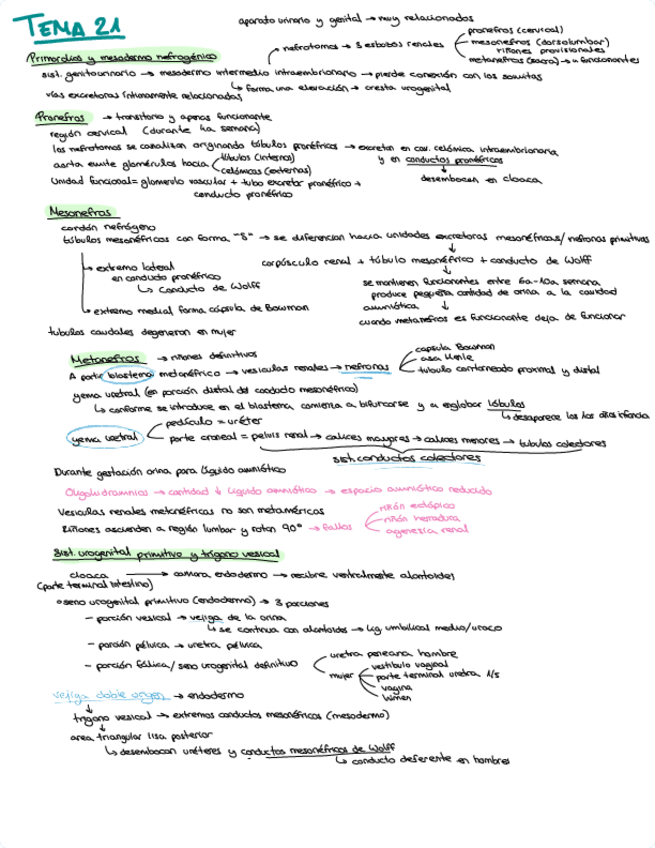 Miniatura del documento resumen-tema-21.pdf