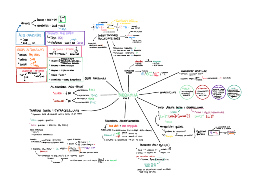 Miniatura del documento Primer-parcial-bioquimica.pdf