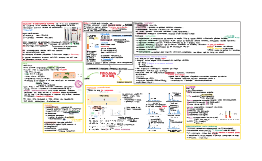 Miniatura del documento Primer-parcial-fisio.pdf