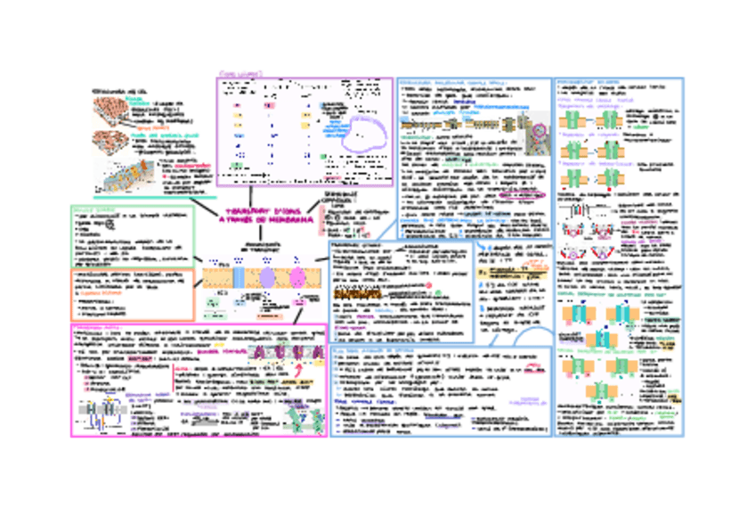 Miniatura del documento Segon-parcial-fisio.pdf