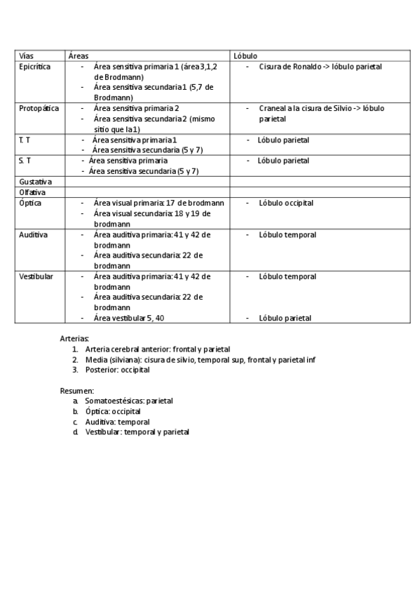 Miniatura del documento areas-y-lobulos.pdf