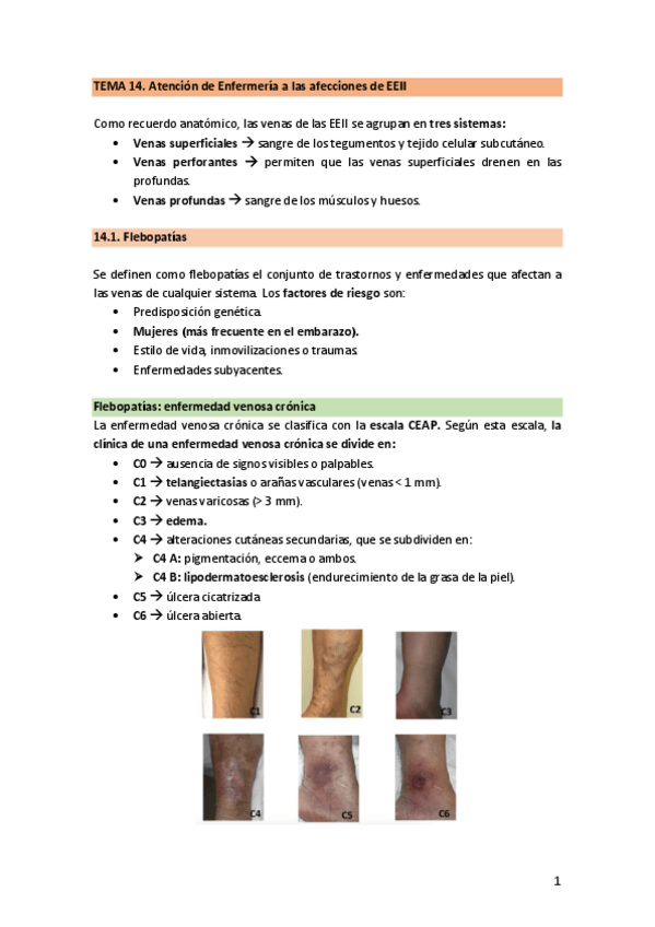 Miniatura del documento TEMA-14.-PatologiaMMII.pdf