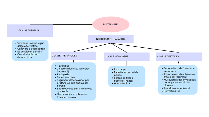 Miniatura del documento 2n-parcial-zoologia.pdf