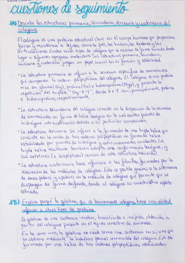 Miniatura del documento Cuestiones-de-seguimiento-1.pdf