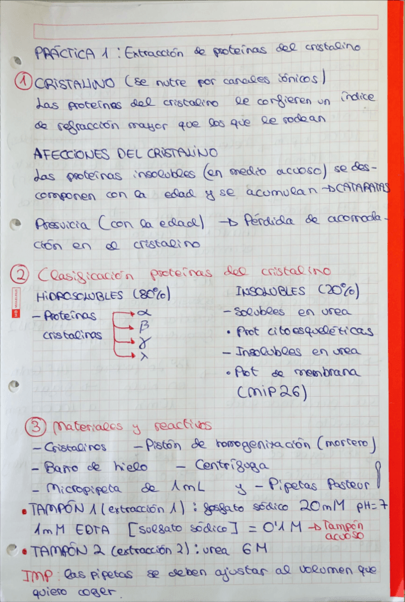 Miniatura del documento Practicas-Bioquimica.pdf