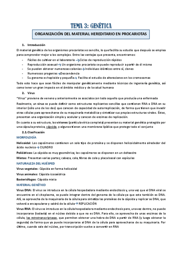 Miniatura del documento TEMA-3.pdf