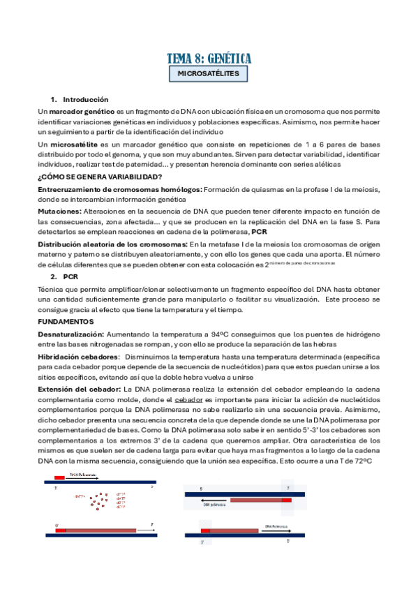 Miniatura del documento TEMA-8.pdf