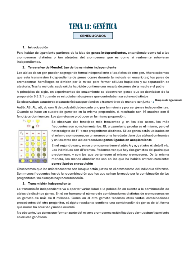 Miniatura del documento TEMA-11.pdf