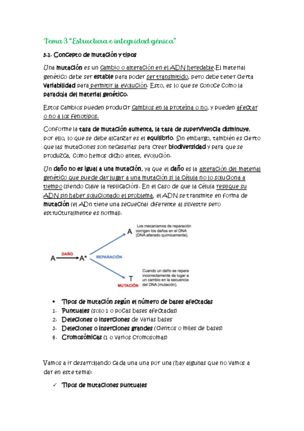 Miniatura del documento Tema-3.pdf