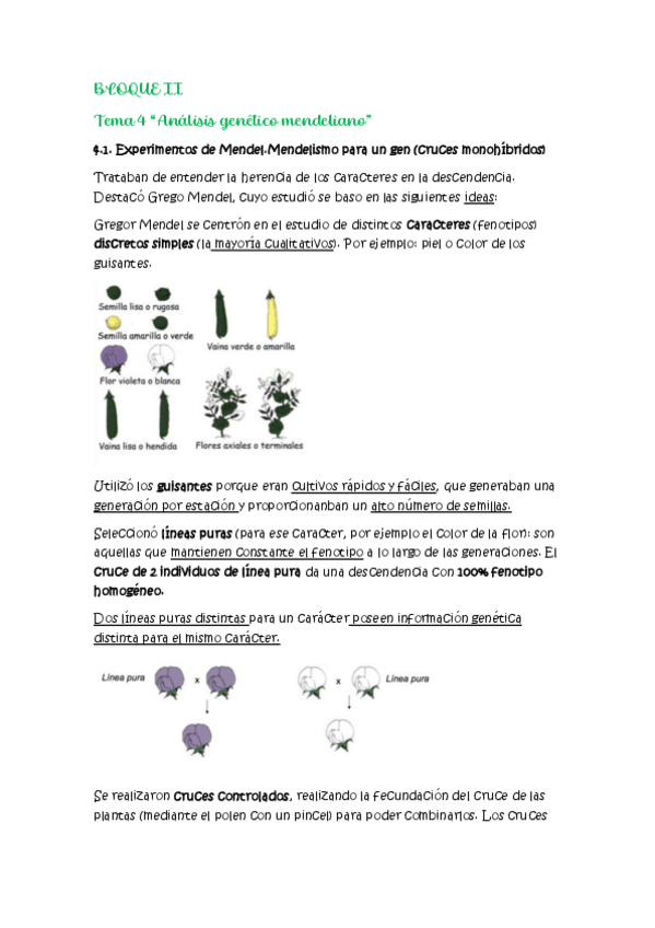 Miniatura del documento Tema-4.pdf