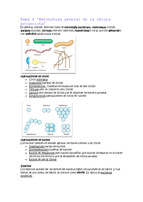 Miniatura del documento Leccion-4.pdf