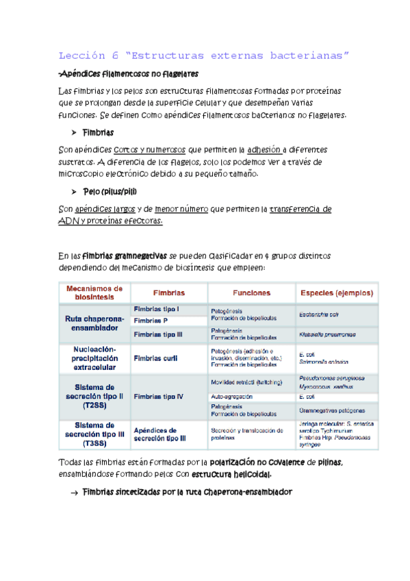 Miniatura del documento Leccion-6.pdf