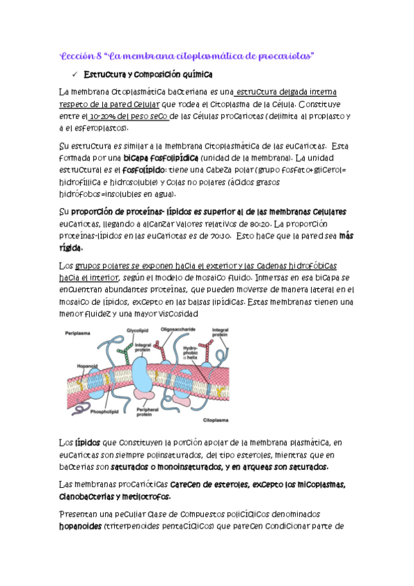 Miniatura del documento Leccion-8.pdf