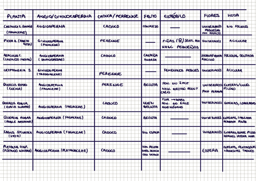 Miniatura del documento Recorrido botánica.pdf