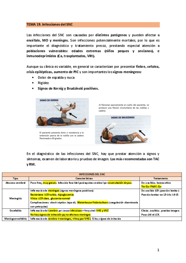Miniatura del documento TEMA-19.-InfeccionesSN.pdf