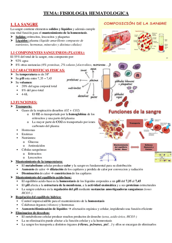 Miniatura del documento FISIOLOGIA-HEMATOLOGICA.pdf