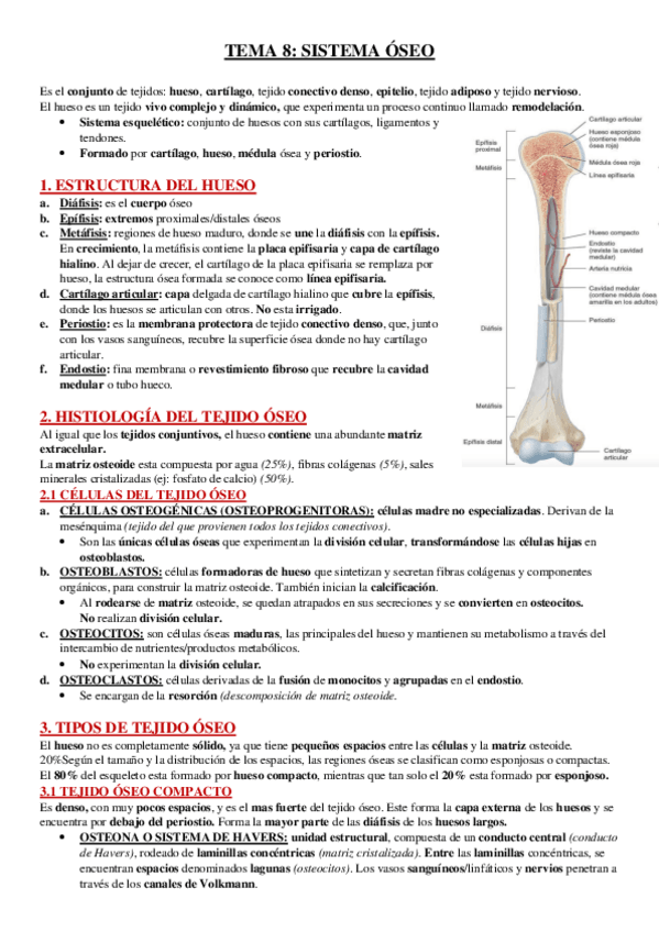 Miniatura del documento TEMA-8.pdf
