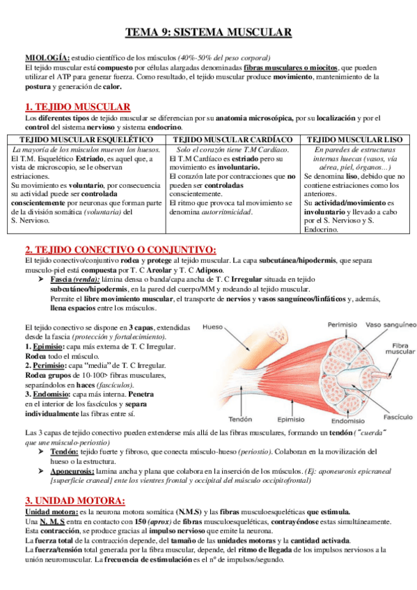 Miniatura del documento TEMA-9.pdf