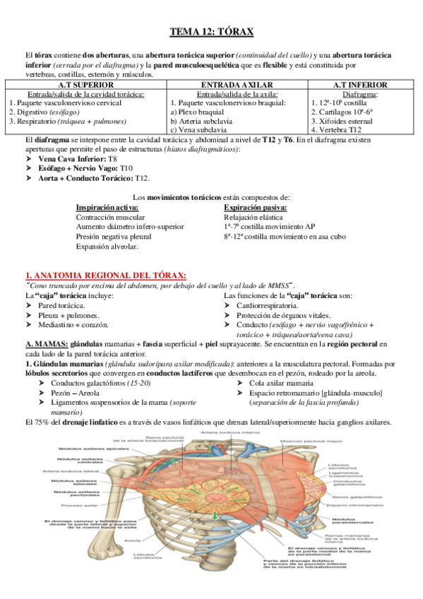 Miniatura del documento TEMA-12.pdf