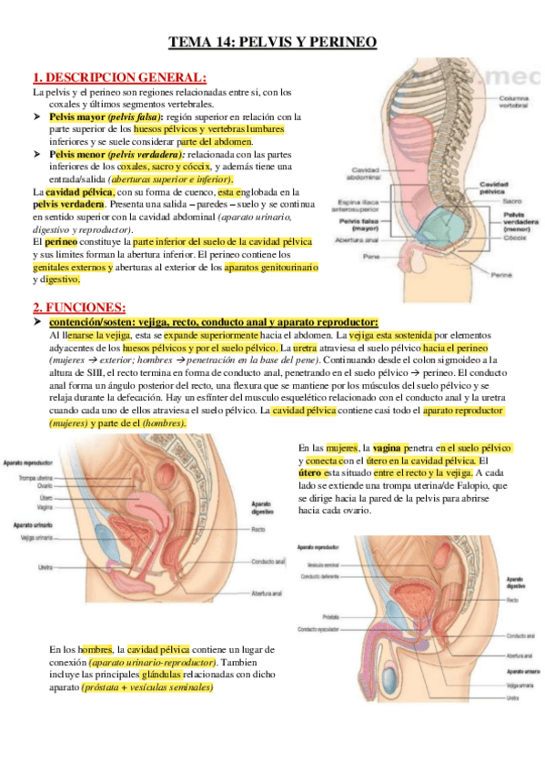 Miniatura del documento TEMA-14.pdf