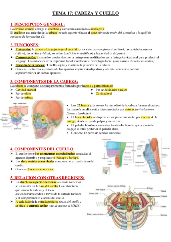 Miniatura del documento TEMA-17.pdf