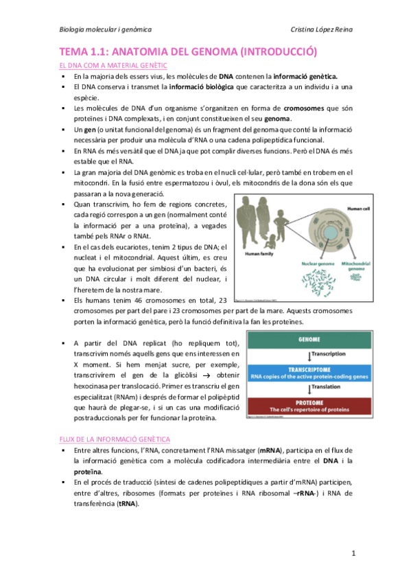 Miniatura del documento TEMA 1.1.pdf