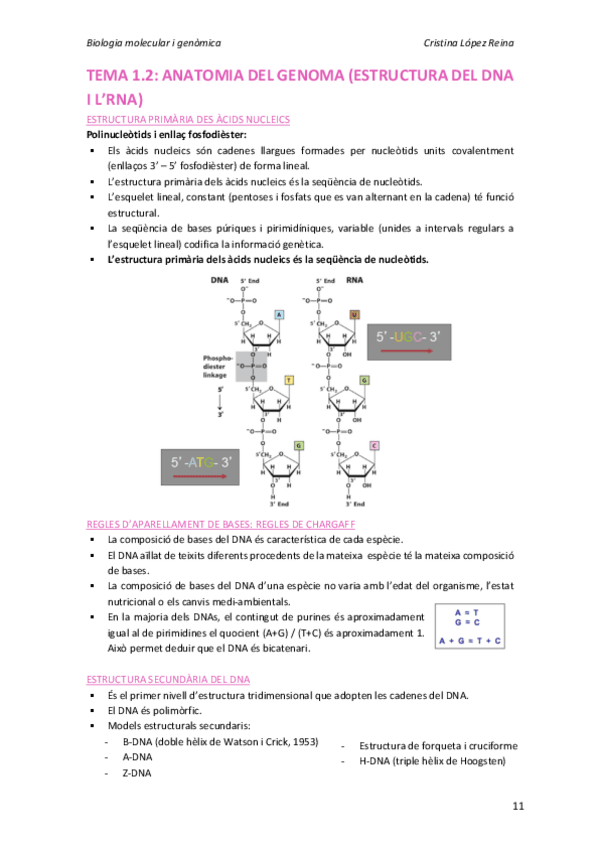 Miniatura del documento Tema 1.2.pdf