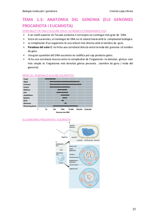 Miniatura del documento Tema 1.3.pdf