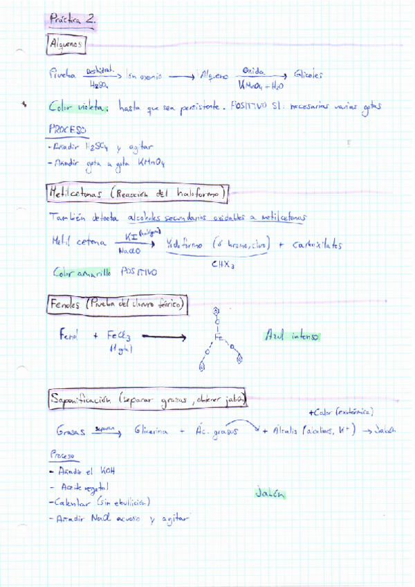 Miniatura del documento Esquema-Practica-2-Quimica-Organica-examen.pdf
