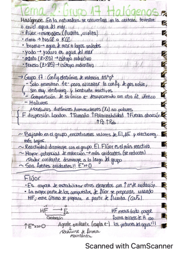 Miniatura del documento Halogenos-apuntes-y-ejercicios-tipo-examen.pdf