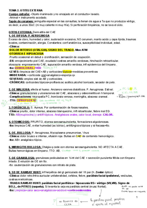 Miniatura del documento RESUMEN-IMPORTANTE-ORL.pdf