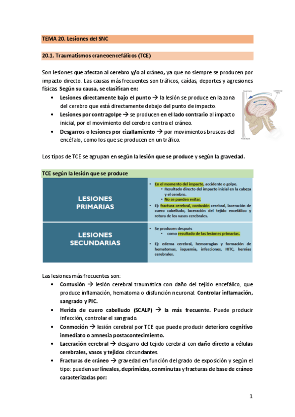Miniatura del documento TEMA-20.-LesionesSN.pdf