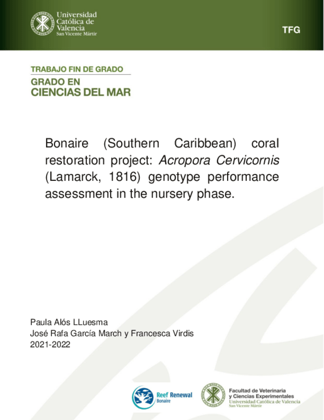 Miniatura del documento Final-Document-TFG-Paula-Alos.pdf