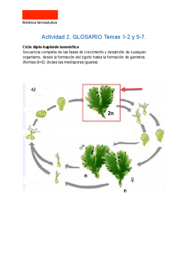 Miniatura del documento Actividad-2.GLOSARIO-Temas-1-2-y-5-7..pdf