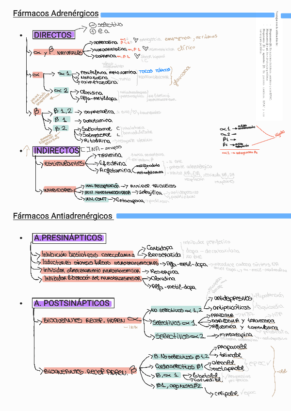 Miniatura del documento Esquema-todo-farma.pdf