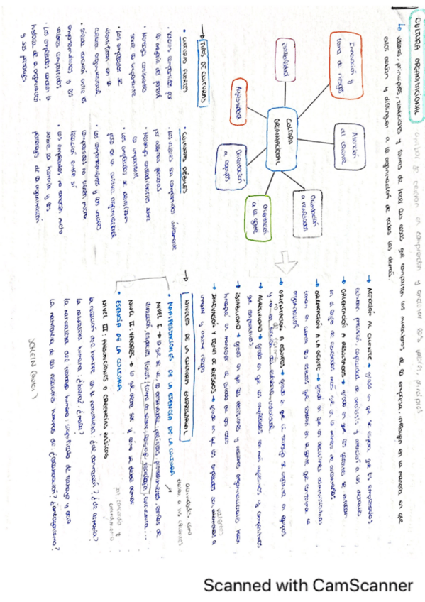 Miniatura del documento Esquema-cultura-organizacional.pdf