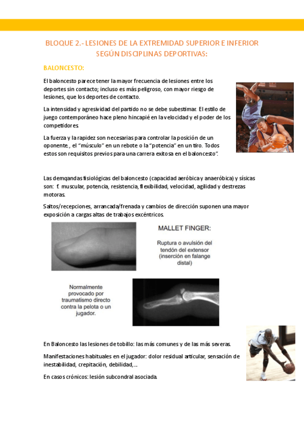 Miniatura del documento DEPORTIVA-TEMA-6-BALONCESTO.pdf