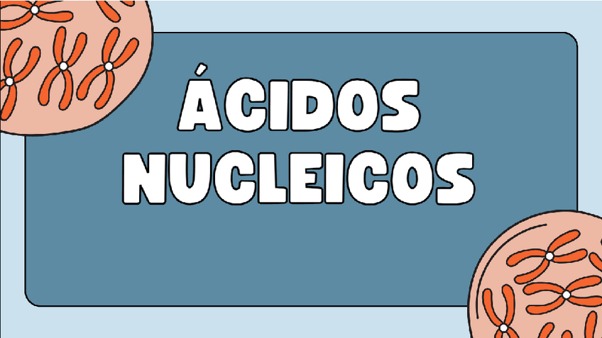 Miniatura del documento Acidos-nucleicos.pdf