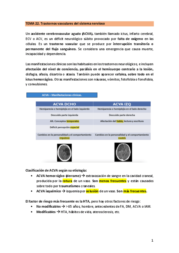 Miniatura del documento TEMA-22.-VascularesSN.pdf