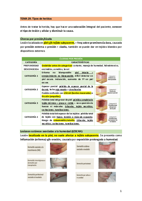 Miniatura del documento TEMA-29.-Heridas.pdf