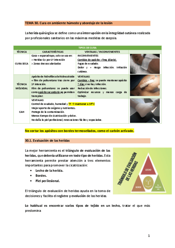 Miniatura del documento TEMA-30.-CAH.pdf