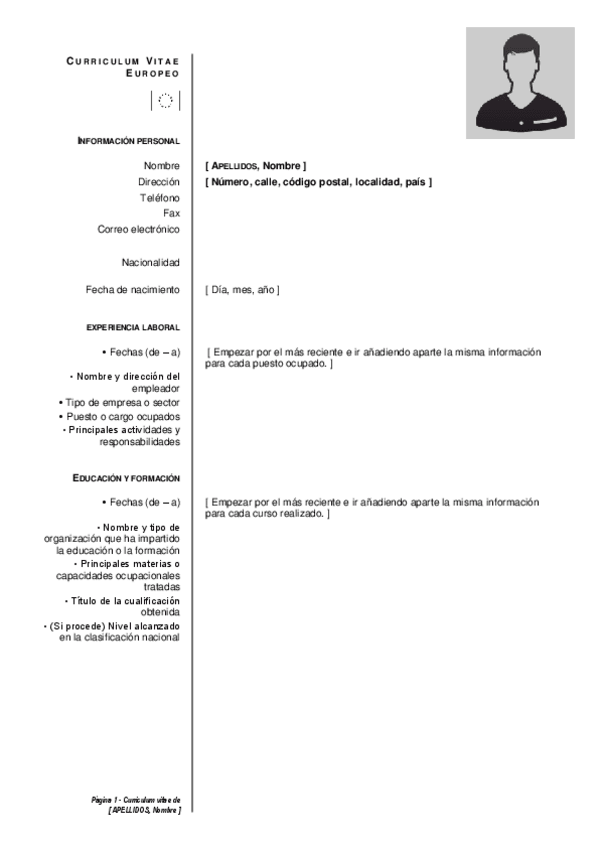 Miniatura del documento CVEuropeo.pdf