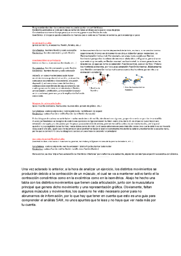 Miniatura del documento Guia-para-comprender-SAM.pdf