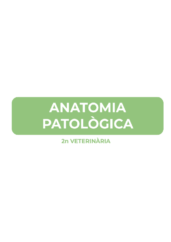 Miniatura del documento ANATOMIA-PATOLOGICA-1r-parcial-23-24.pdf