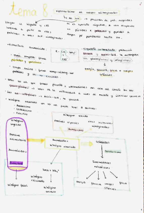 Miniatura del documento TEMAS-8-y-9.pdf
