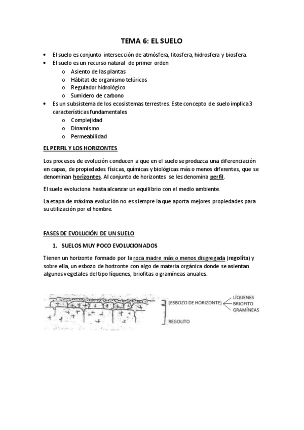 Miniatura del documento TEMA-6.pdf
